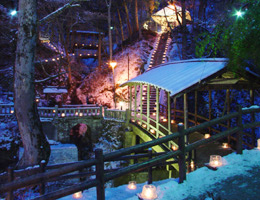 夢を叶えに氷灯篭夢祈願 - 【鹿教湯温泉】 むささびの訪れる宿 つるや旅館