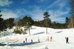 【草津温泉】 ホテルヴィレッジ